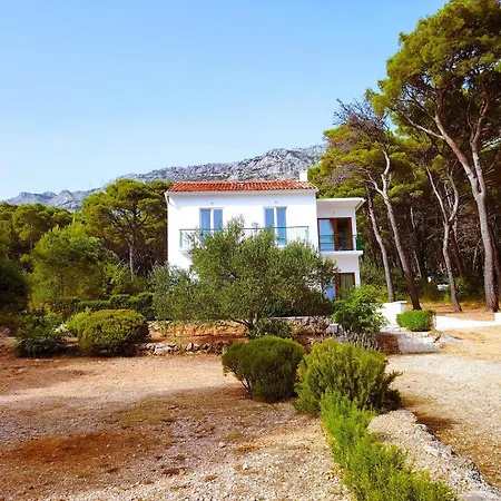 Vila Right On Beach In Marisbella *